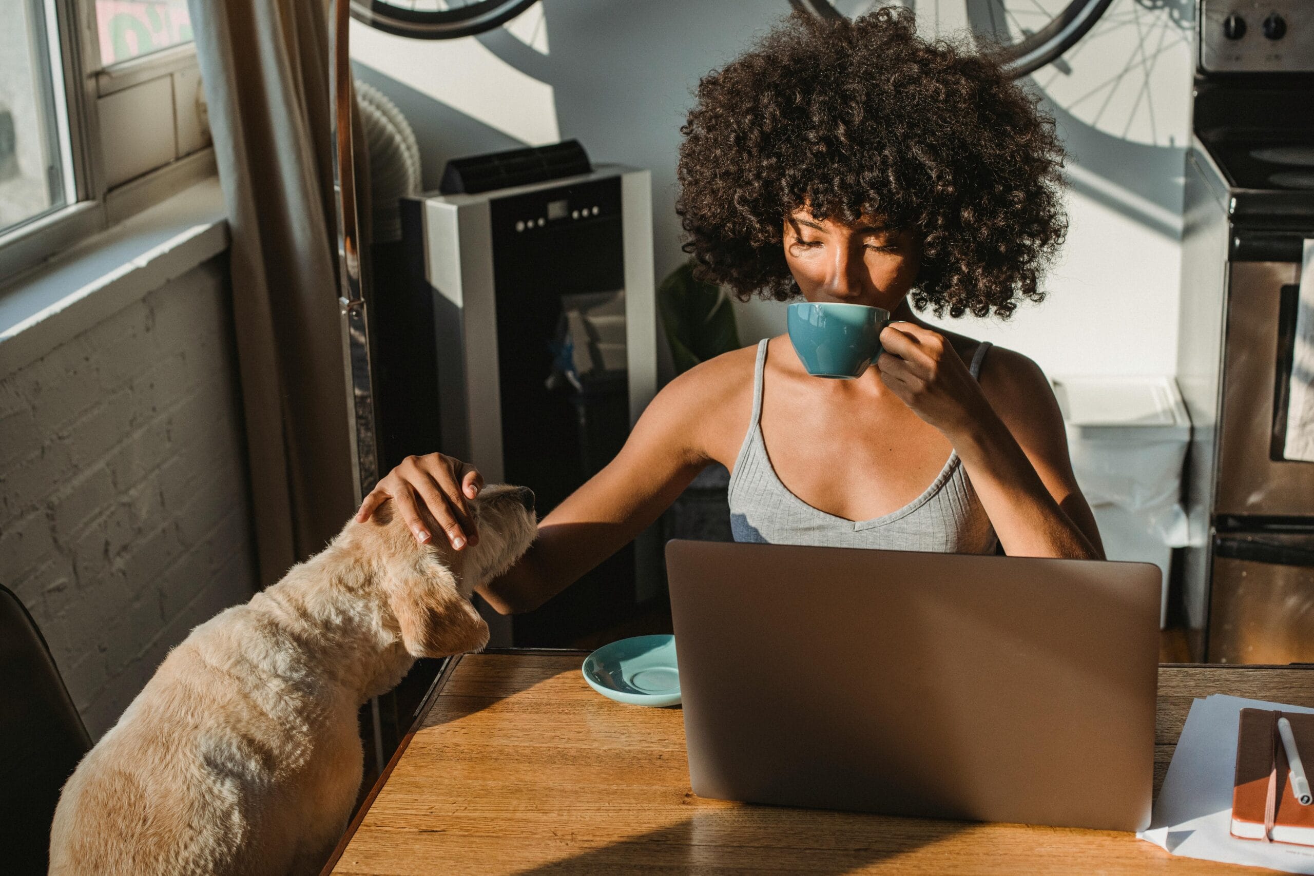 high paying work from home jobs